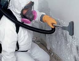 Best Forensic Mold Investigation  in Shenandoah Heights, PA